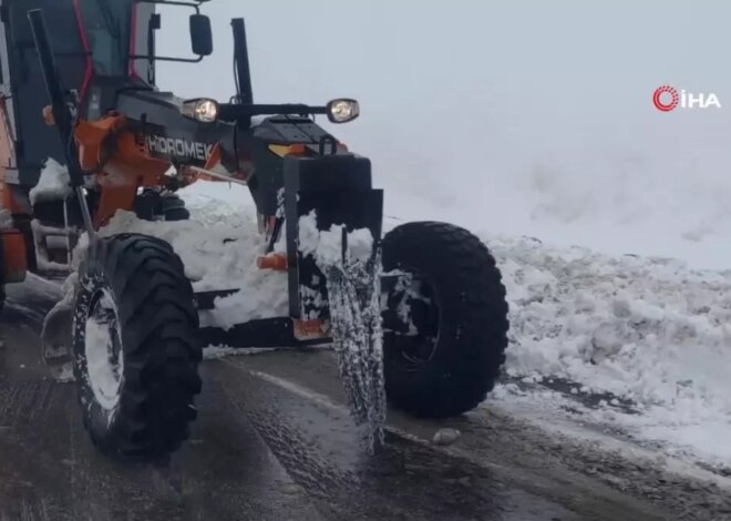 Bahçesaray’da Kar Yağışı Başladı